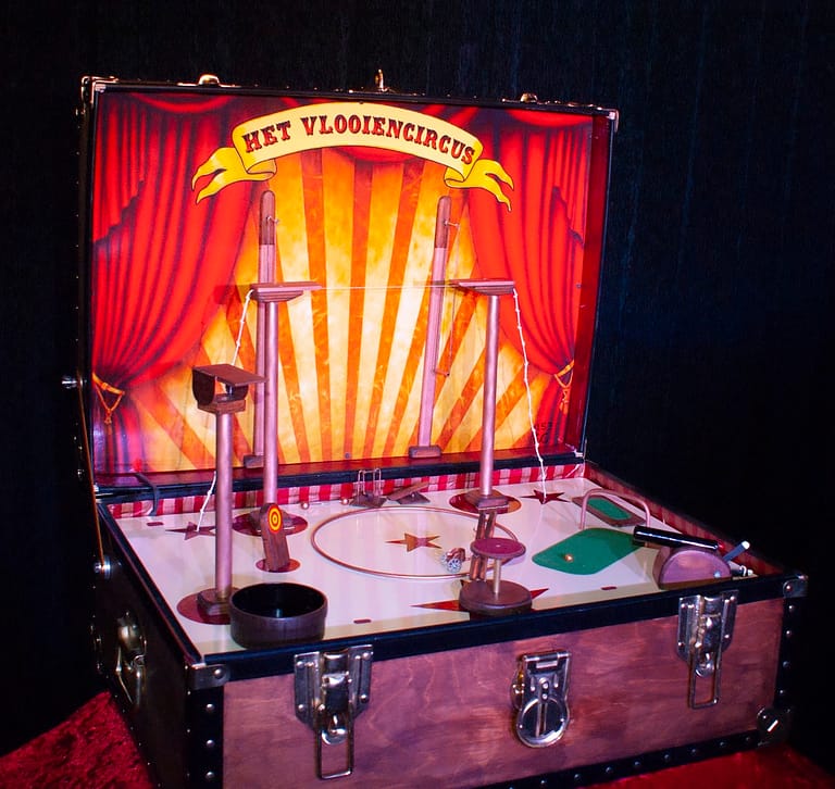het vlooiencircus
